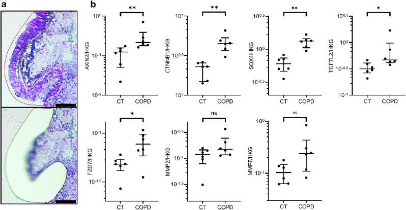 https://cdn.ncbi.nlm.nih.gov/pmc/blobs/89c6/7559244/38a7039806a5/gr3.jpg