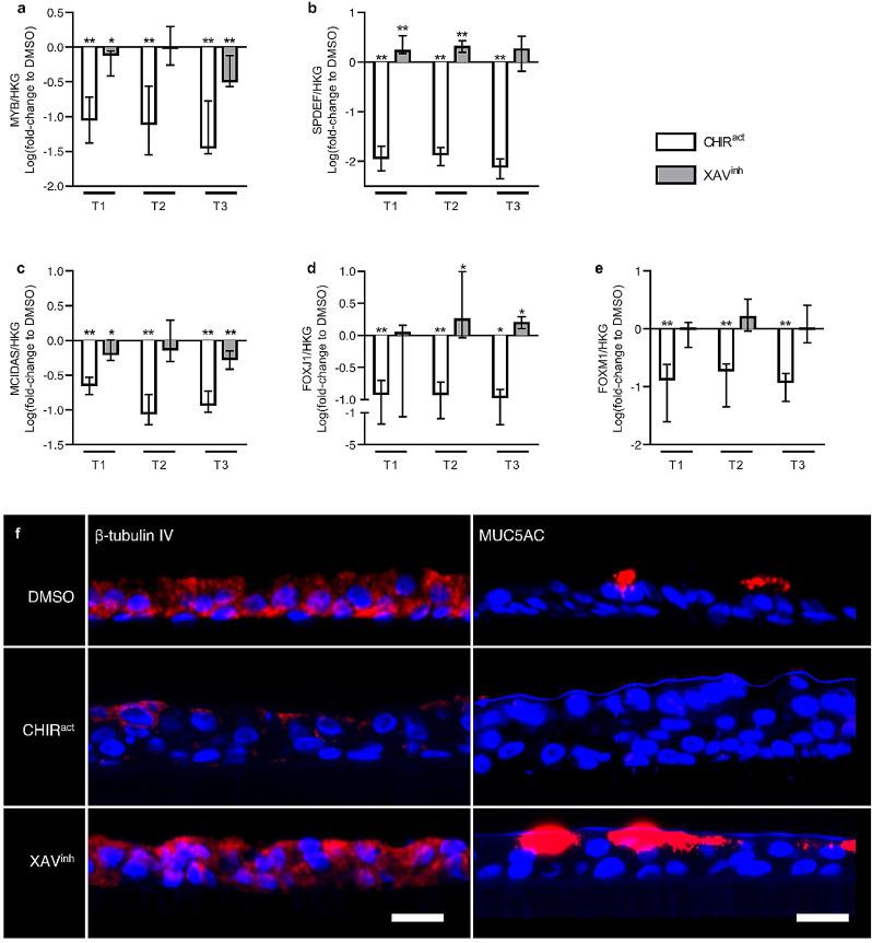 https://cdn.ncbi.nlm.nih.gov/pmc/blobs/89c6/7559244/b1783c97c155/gr5.jpg
