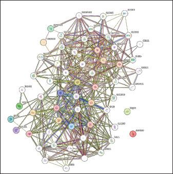 https://cdn.ncbi.nlm.nih.gov/pmc/blobs/89c7/11682742/0d35d01fe9de/OpenVetJ-14-2970-g007.jpg
