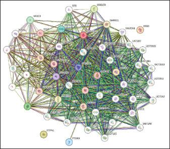 https://cdn.ncbi.nlm.nih.gov/pmc/blobs/89c7/11682742/4b31e6cf9a24/OpenVetJ-14-2970-g005.jpg