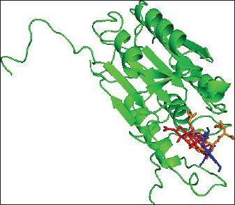 https://cdn.ncbi.nlm.nih.gov/pmc/blobs/89c7/11682742/6f5b35a6fdbf/OpenVetJ-14-2970-g004.jpg