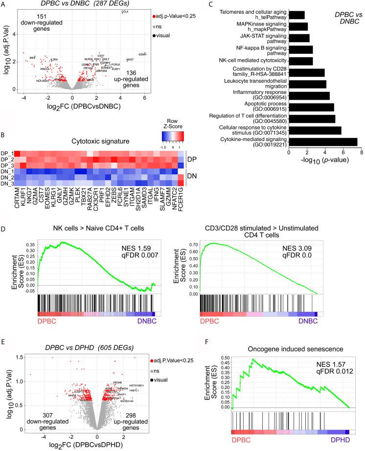 https://cdn.ncbi.nlm.nih.gov/pmc/blobs/89c8/8353459/a7f3e929ab5e/fimmu-12-713132-g005.jpg