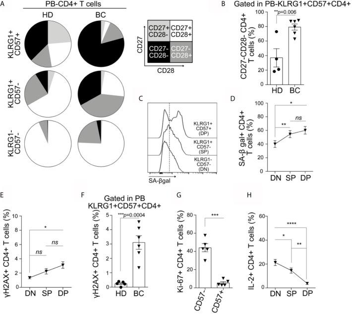 https://cdn.ncbi.nlm.nih.gov/pmc/blobs/89c8/8353459/c14ce2510342/fimmu-12-713132-g002.jpg