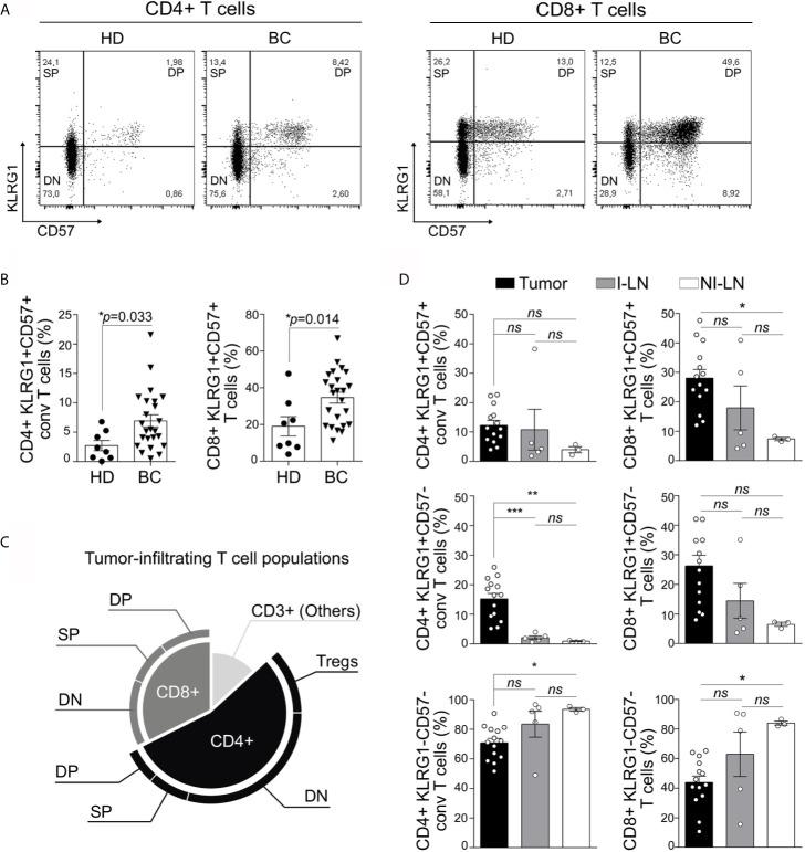 https://cdn.ncbi.nlm.nih.gov/pmc/blobs/89c8/8353459/f794aa71b5f3/fimmu-12-713132-g001.jpg