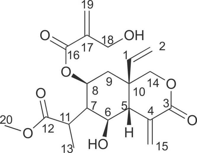 https://cdn.ncbi.nlm.nih.gov/pmc/blobs/89c8/8920872/c2fabdd79cd4/gr3.jpg