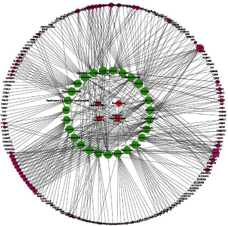 https://cdn.ncbi.nlm.nih.gov/pmc/blobs/89ca/7568794/1bf462566493/MI2020-6950206.002.jpg