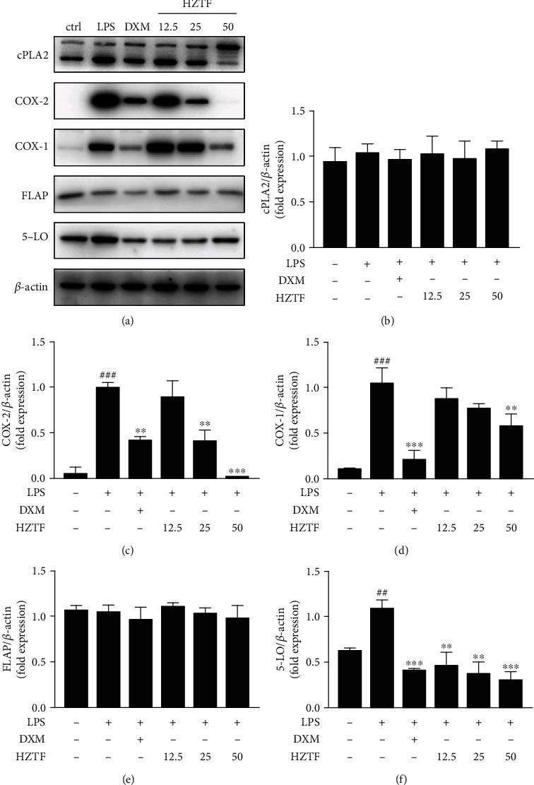 https://cdn.ncbi.nlm.nih.gov/pmc/blobs/89ca/7568794/40f1d188cd62/MI2020-6950206.008.jpg