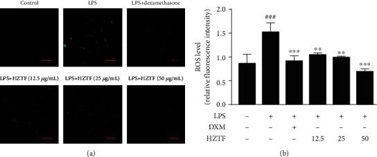 https://cdn.ncbi.nlm.nih.gov/pmc/blobs/89ca/7568794/6632339568c8/MI2020-6950206.005.jpg