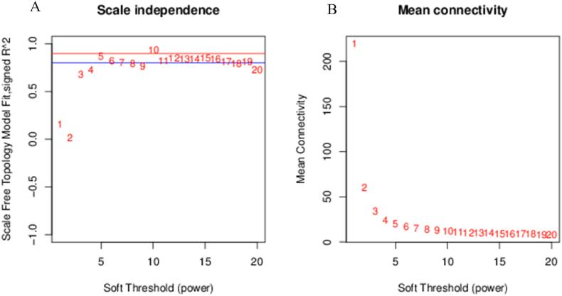 https://cdn.ncbi.nlm.nih.gov/pmc/blobs/89cd/10828595/7c7b04b5128f/gr6.jpg
