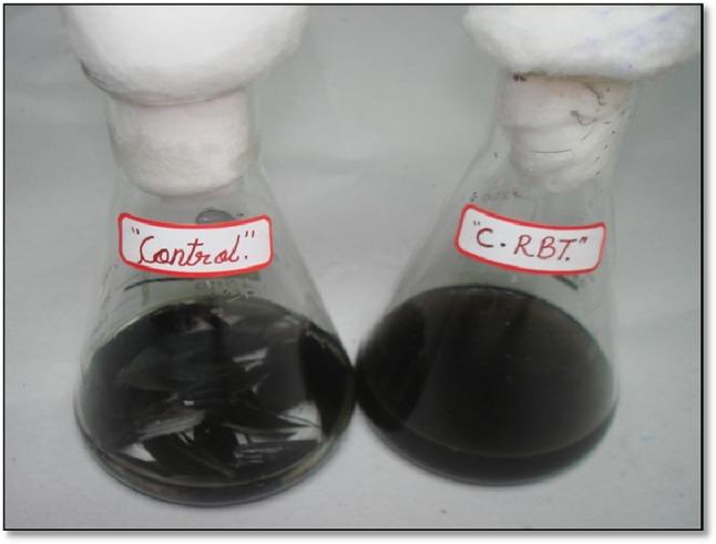 https://cdn.ncbi.nlm.nih.gov/pmc/blobs/89d0/4919140/6a31d5d1d47c/13205_2016_464_Fig1_HTML.jpg
