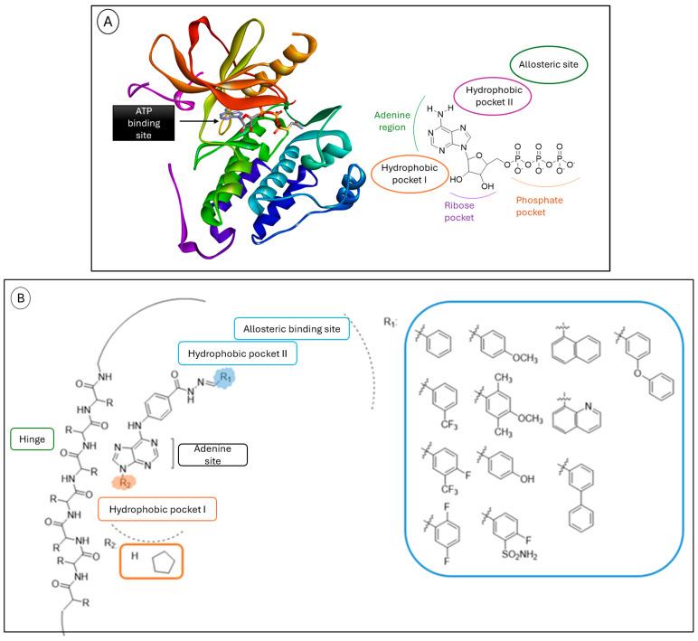 https://cdn.ncbi.nlm.nih.gov/pmc/blobs/89d1/12299904/3d3c1153b058/pharmaceuticals-18-01051-g002.jpg