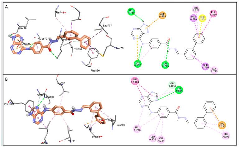https://cdn.ncbi.nlm.nih.gov/pmc/blobs/89d1/12299904/a79cbbb02273/pharmaceuticals-18-01051-g007.jpg