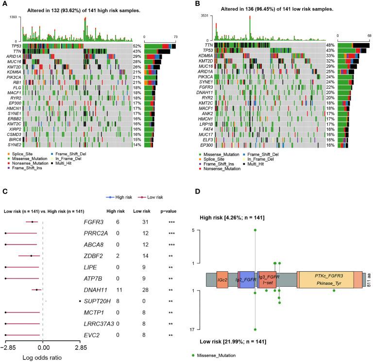 https://cdn.ncbi.nlm.nih.gov/pmc/blobs/89d3/9360490/40c9c7820cab/fimmu-13-931906-g008.jpg