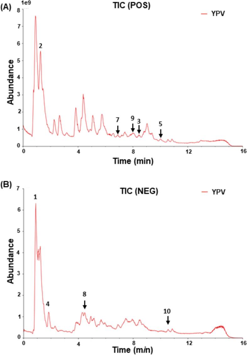 https://cdn.ncbi.nlm.nih.gov/pmc/blobs/89d4/12105225/770c5be589f1/13020_2025_1120_Fig1_HTML.jpg