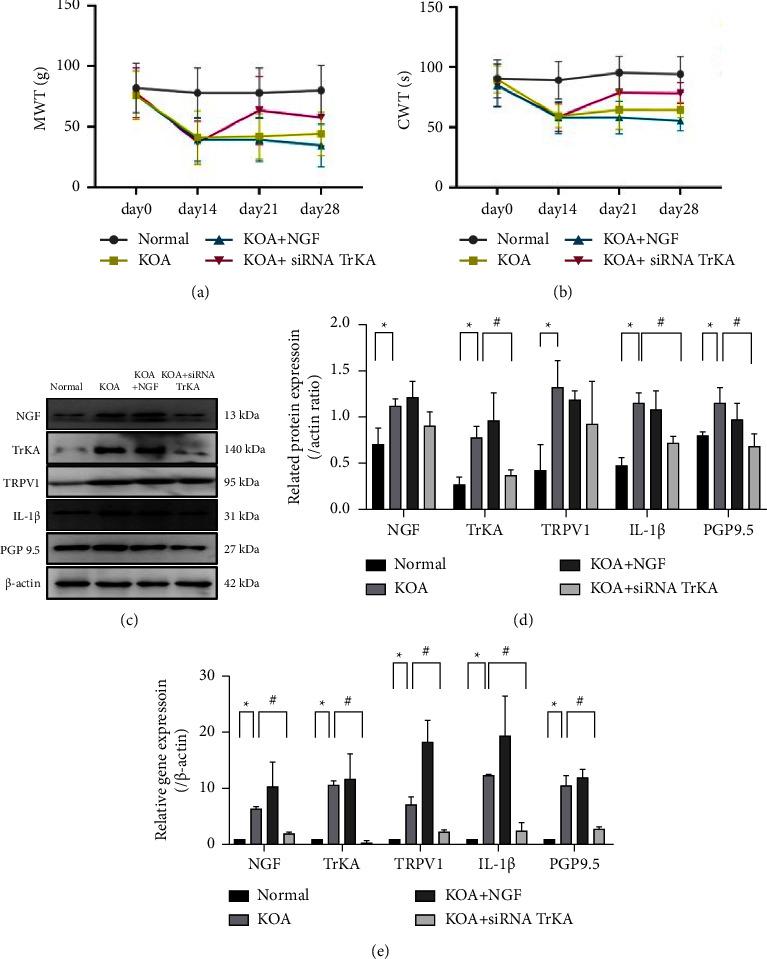 https://cdn.ncbi.nlm.nih.gov/pmc/blobs/89d6/10896652/841383b8d3d5/PRM2024-1552594.003.jpg