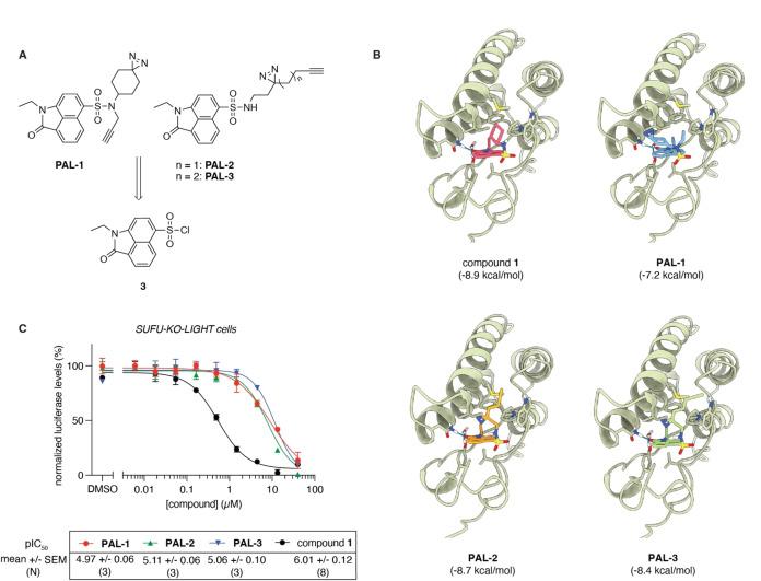 https://cdn.ncbi.nlm.nih.gov/pmc/blobs/89d6/12075100/5526ade66e33/OPEN-14-e202500119-g006.jpg