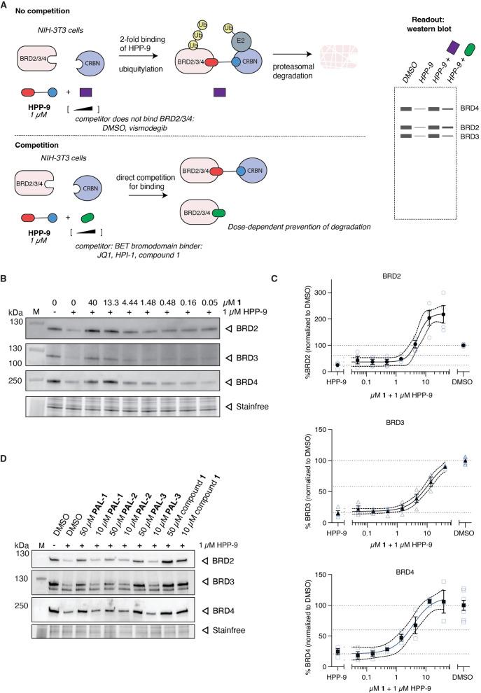 https://cdn.ncbi.nlm.nih.gov/pmc/blobs/89d6/12075100/95a0296375be/OPEN-14-e202500119-g005.jpg