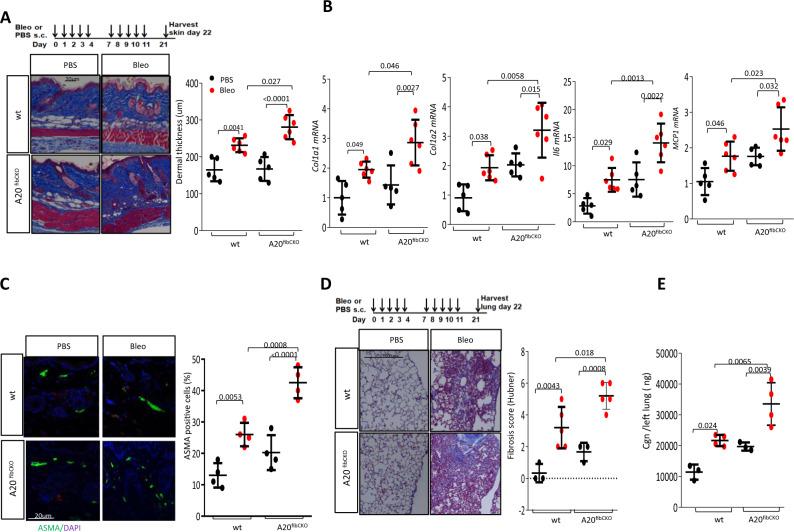 https://cdn.ncbi.nlm.nih.gov/pmc/blobs/89d6/9606375/b960bcbf4093/41467_2022_33767_Fig4_HTML.jpg