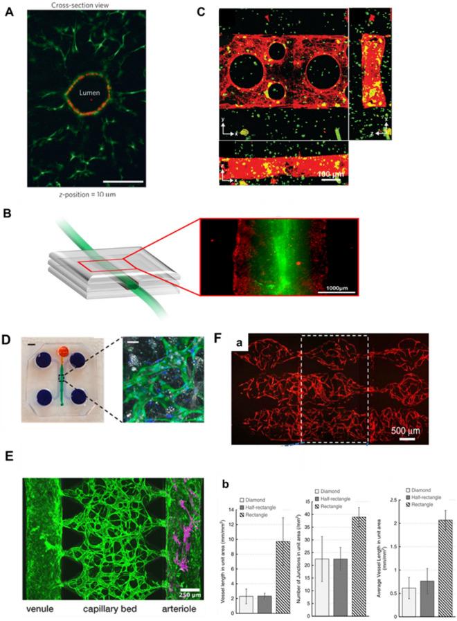 https://cdn.ncbi.nlm.nih.gov/pmc/blobs/89d8/10908775/76b458baf858/40580_2024_416_Fig5_HTML.jpg