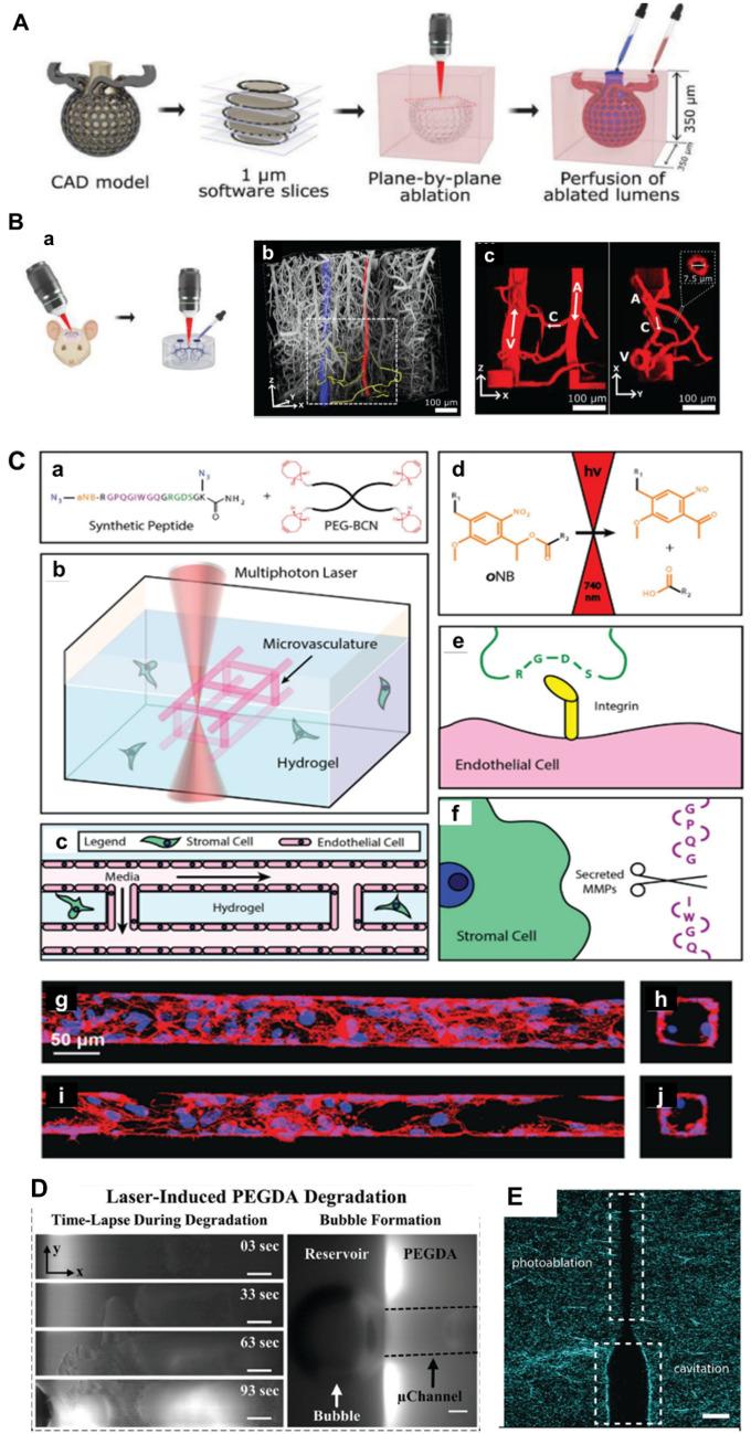 https://cdn.ncbi.nlm.nih.gov/pmc/blobs/89d8/10908775/a68df269bfea/40580_2024_416_Fig3_HTML.jpg