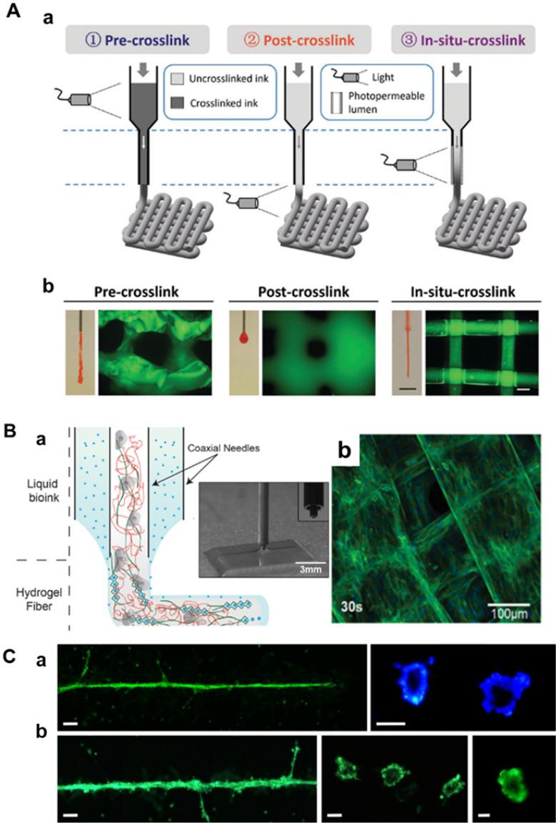 https://cdn.ncbi.nlm.nih.gov/pmc/blobs/89d8/10908775/b1189972fc4d/40580_2024_416_Fig4_HTML.jpg