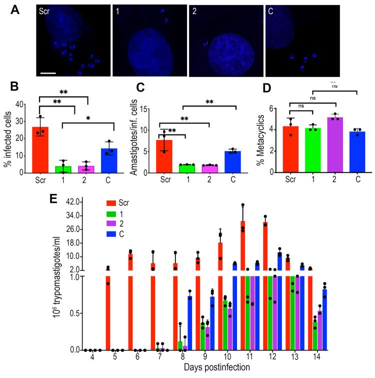 https://cdn.ncbi.nlm.nih.gov/pmc/blobs/89db/7993795/9c5e7fab6e63/ppat.1009399.g007.jpg