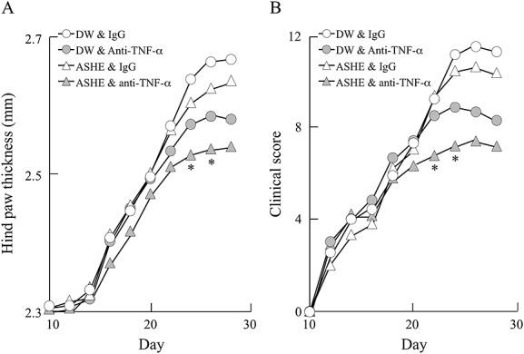 https://cdn.ncbi.nlm.nih.gov/pmc/blobs/89dc/4235467/4bc914c70a8d/ptr0028-1513-f5.jpg