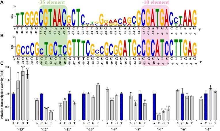 https://cdn.ncbi.nlm.nih.gov/pmc/blobs/89e0/12019637/4aa5433620c6/gkaf339fig5.jpg