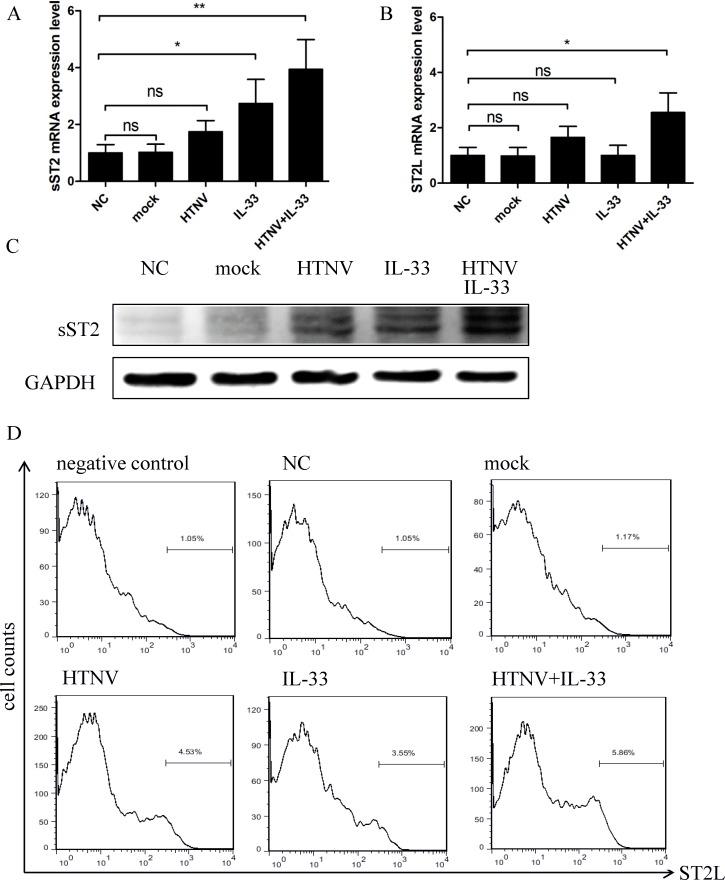 https://cdn.ncbi.nlm.nih.gov/pmc/blobs/89e0/4319827/fc92bf313ad3/pntd.0003514.g005.jpg