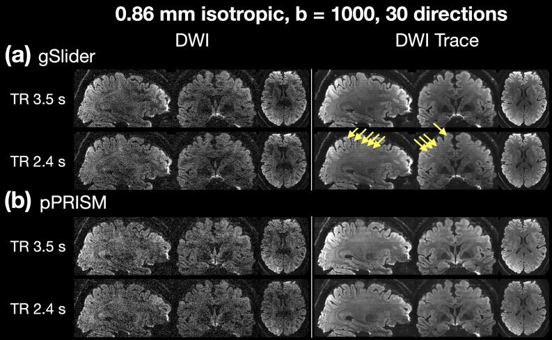 https://cdn.ncbi.nlm.nih.gov/pmc/blobs/89e4/12301896/1500b7fc6a33/imag_a_00417_fig10.jpg