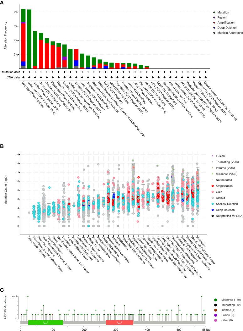 https://cdn.ncbi.nlm.nih.gov/pmc/blobs/89e4/7935557/84e3ab8a0d77/fonc-11-634617-g004.jpg
