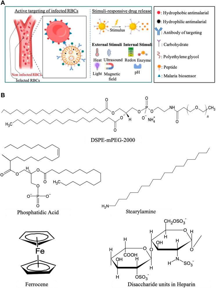 https://cdn.ncbi.nlm.nih.gov/pmc/blobs/89e5/11341498/594991f73d1a/fphar-15-1440116-g004.jpg