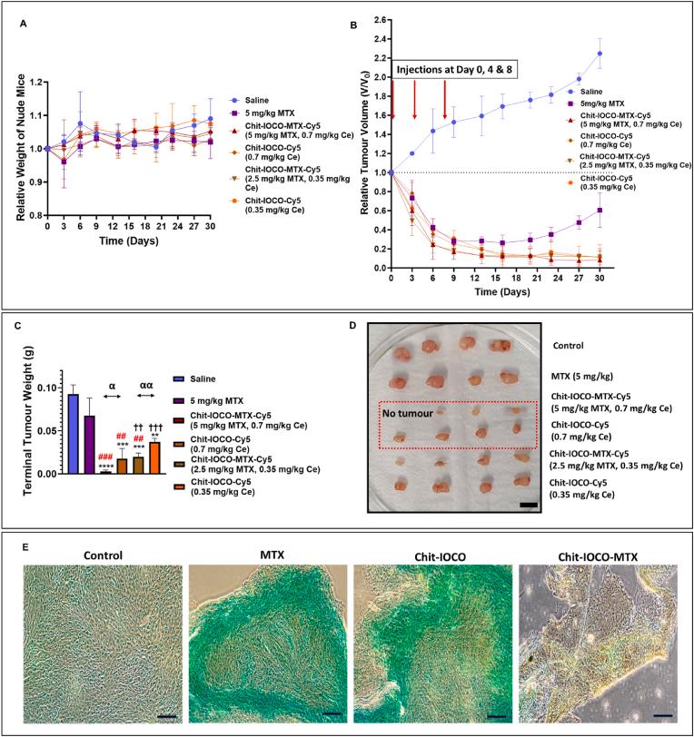 https://cdn.ncbi.nlm.nih.gov/pmc/blobs/89e5/11683249/3139a128d649/gr6.jpg