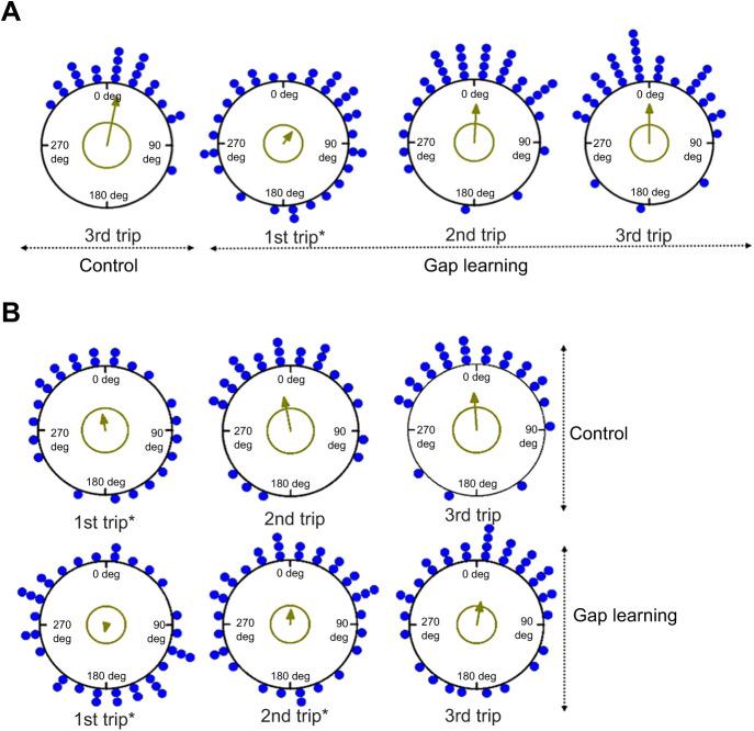 https://cdn.ncbi.nlm.nih.gov/pmc/blobs/89e5/8325935/59d981084c8e/jexbio-224-242245-g3.jpg