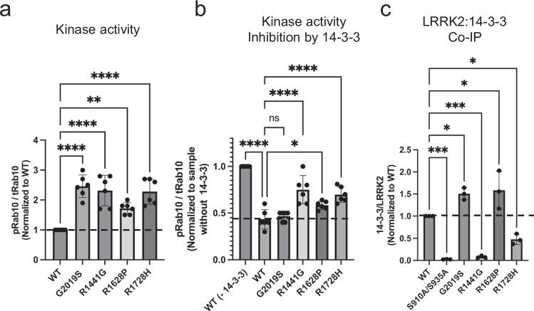 https://cdn.ncbi.nlm.nih.gov/pmc/blobs/89e6/12325948/e2b291ac5671/41467_2025_62337_Fig6_HTML.jpg