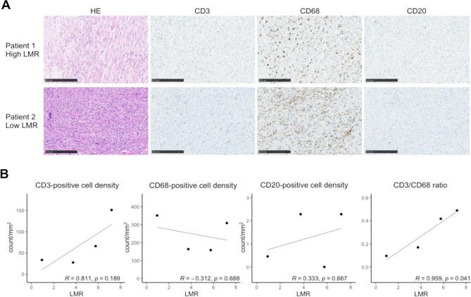 https://cdn.ncbi.nlm.nih.gov/pmc/blobs/89e8/10318000/6ef6d7df2bd9/41598_2023_37616_Fig3_HTML.jpg