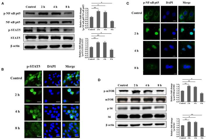 https://cdn.ncbi.nlm.nih.gov/pmc/blobs/89ea/8636274/3a4a623c14c0/fvets-08-756375-g0006.jpg