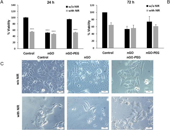 https://cdn.ncbi.nlm.nih.gov/pmc/blobs/89ec/12049538/098412a5c56d/41598_2025_99317_Fig2_HTML.jpg