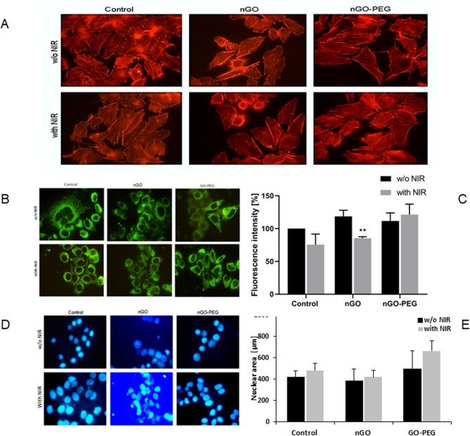 https://cdn.ncbi.nlm.nih.gov/pmc/blobs/89ec/12049538/fb1ab366f0fe/41598_2025_99317_Fig4_HTML.jpg