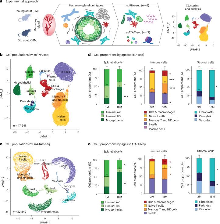 https://cdn.ncbi.nlm.nih.gov/pmc/blobs/89ed/11754115/1774e0641f42/43587_2024_751_Fig1_HTML.jpg