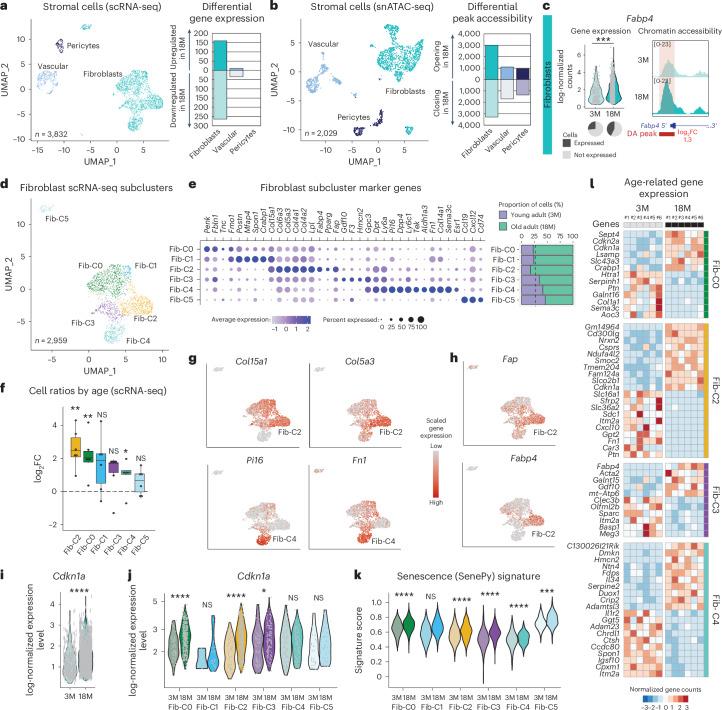 https://cdn.ncbi.nlm.nih.gov/pmc/blobs/89ed/11754115/1f2f2cff4cdf/43587_2024_751_Fig4_HTML.jpg