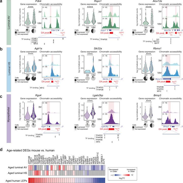 https://cdn.ncbi.nlm.nih.gov/pmc/blobs/89ed/11754115/2b2b8b3cd9f5/43587_2024_751_Fig11_ESM.jpg
