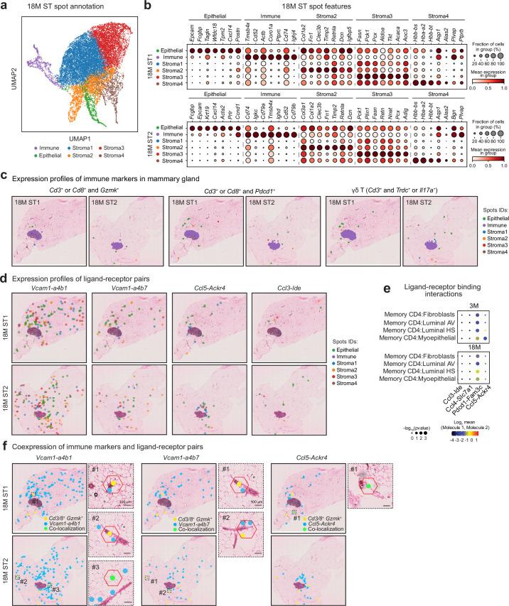 https://cdn.ncbi.nlm.nih.gov/pmc/blobs/89ed/11754115/316384526b8e/43587_2024_751_Fig16_ESM.jpg