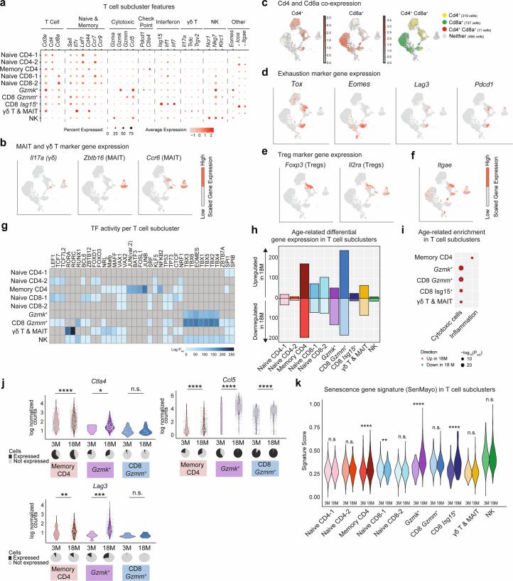 https://cdn.ncbi.nlm.nih.gov/pmc/blobs/89ed/11754115/41bf79b5ce45/43587_2024_751_Fig14_ESM.jpg