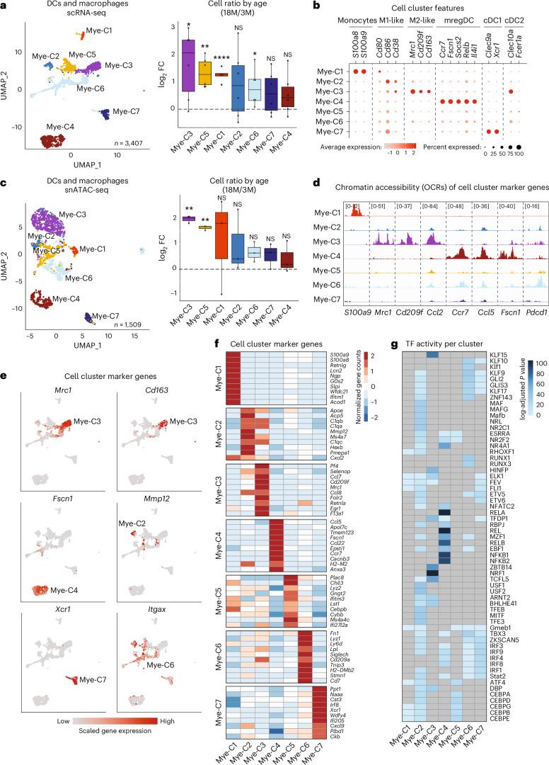 https://cdn.ncbi.nlm.nih.gov/pmc/blobs/89ed/11754115/6de7d10166cb/43587_2024_751_Fig6_HTML.jpg
