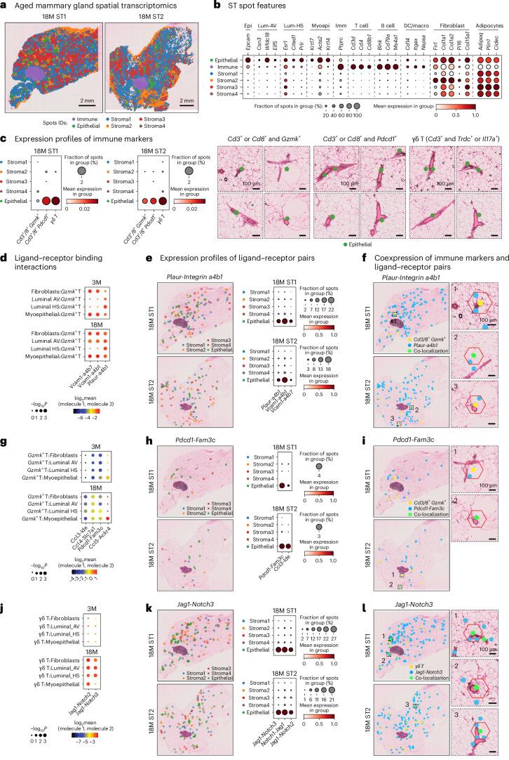 https://cdn.ncbi.nlm.nih.gov/pmc/blobs/89ed/11754115/897c0e637369/43587_2024_751_Fig7_HTML.jpg