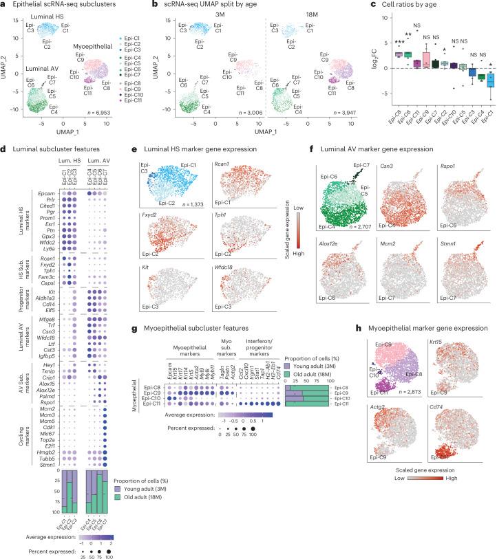 https://cdn.ncbi.nlm.nih.gov/pmc/blobs/89ed/11754115/9380b79f2e09/43587_2024_751_Fig3_HTML.jpg