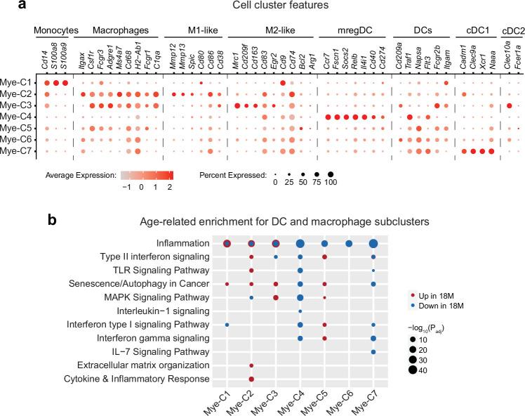 https://cdn.ncbi.nlm.nih.gov/pmc/blobs/89ed/11754115/986db0657817/43587_2024_751_Fig15_ESM.jpg