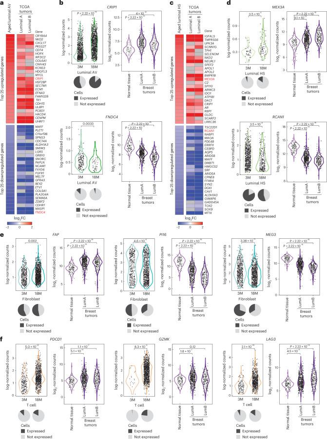 https://cdn.ncbi.nlm.nih.gov/pmc/blobs/89ed/11754115/a4541b66ca6a/43587_2024_751_Fig8_HTML.jpg