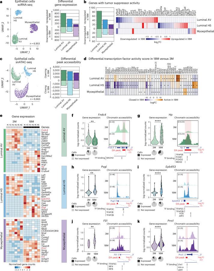 https://cdn.ncbi.nlm.nih.gov/pmc/blobs/89ed/11754115/c81624f6f0e6/43587_2024_751_Fig2_HTML.jpg